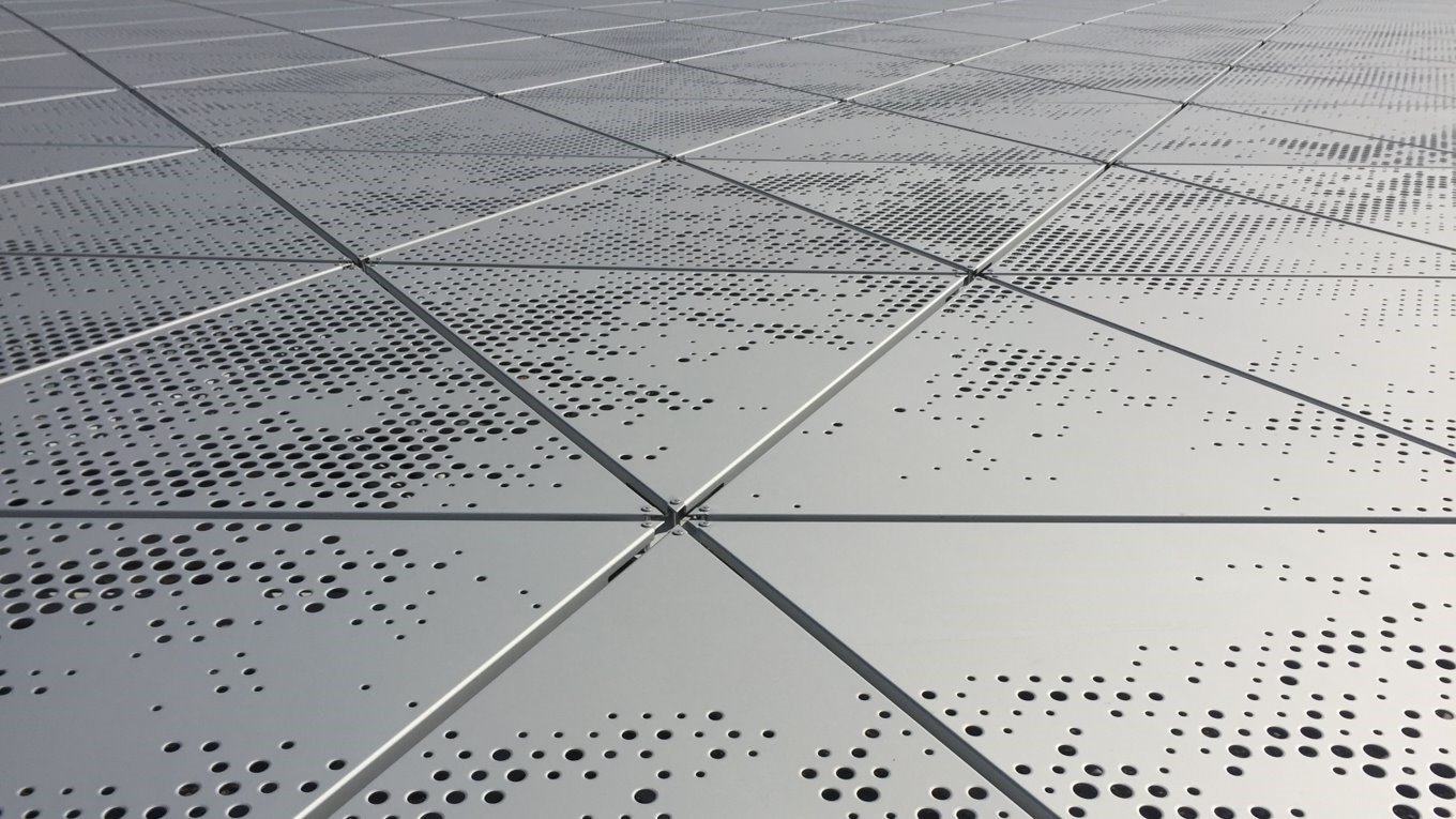 Triskin-closeup.jpg
