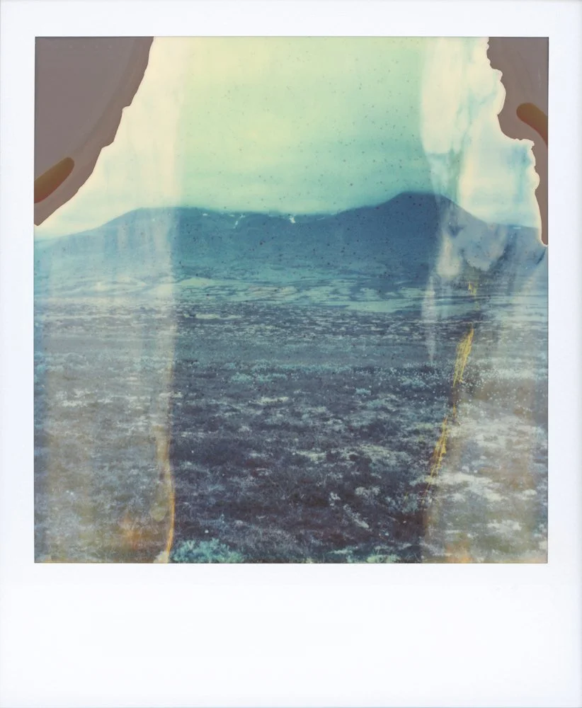 polaroid-9.jpg