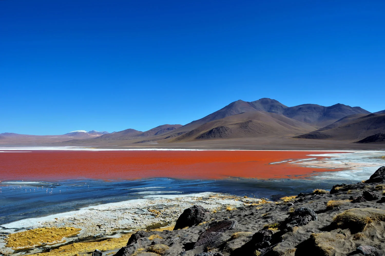 Laguna Colorada, Bolivia