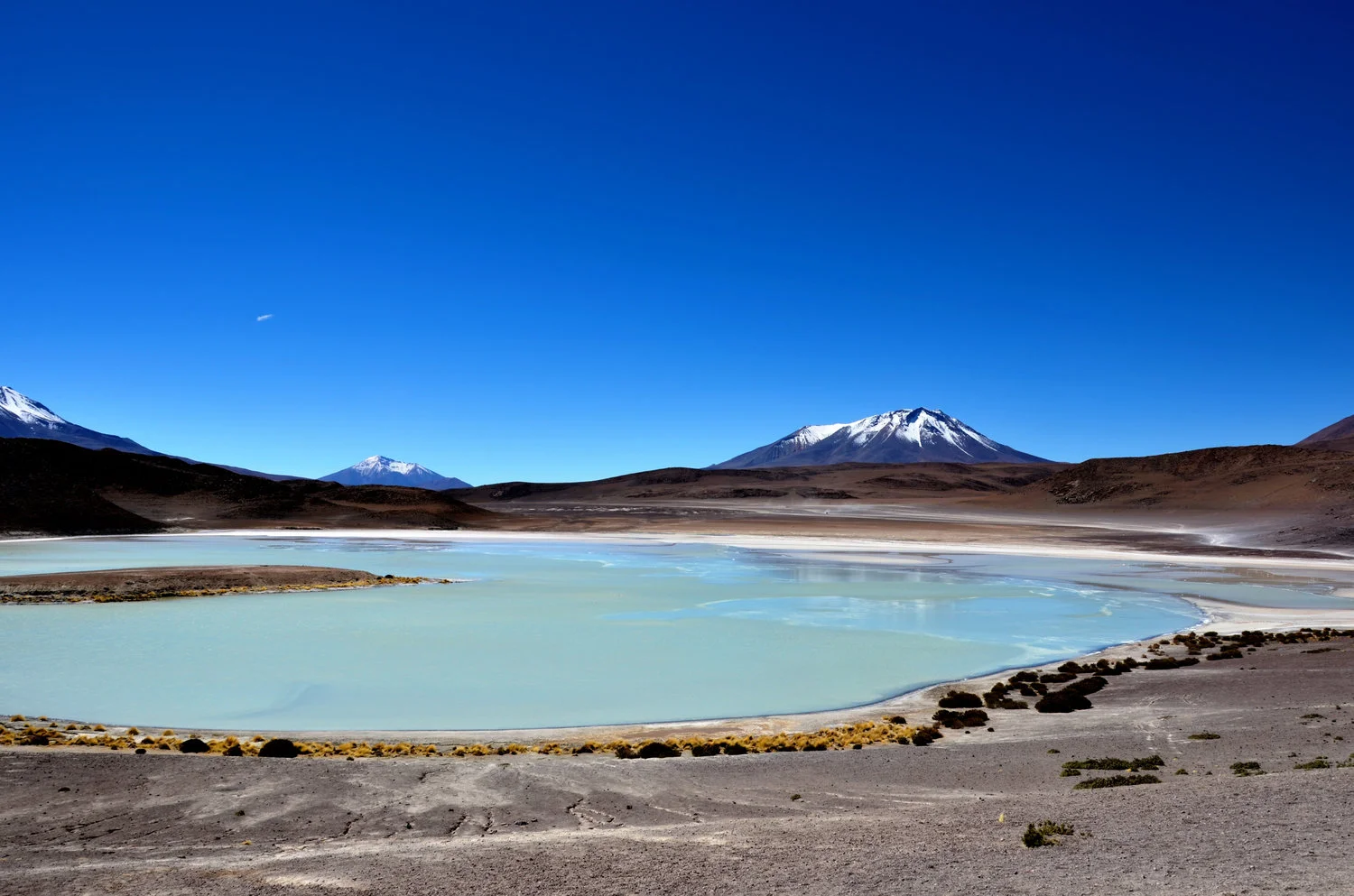 laguna-hedionda-sud-lipez-bolivia.jpg