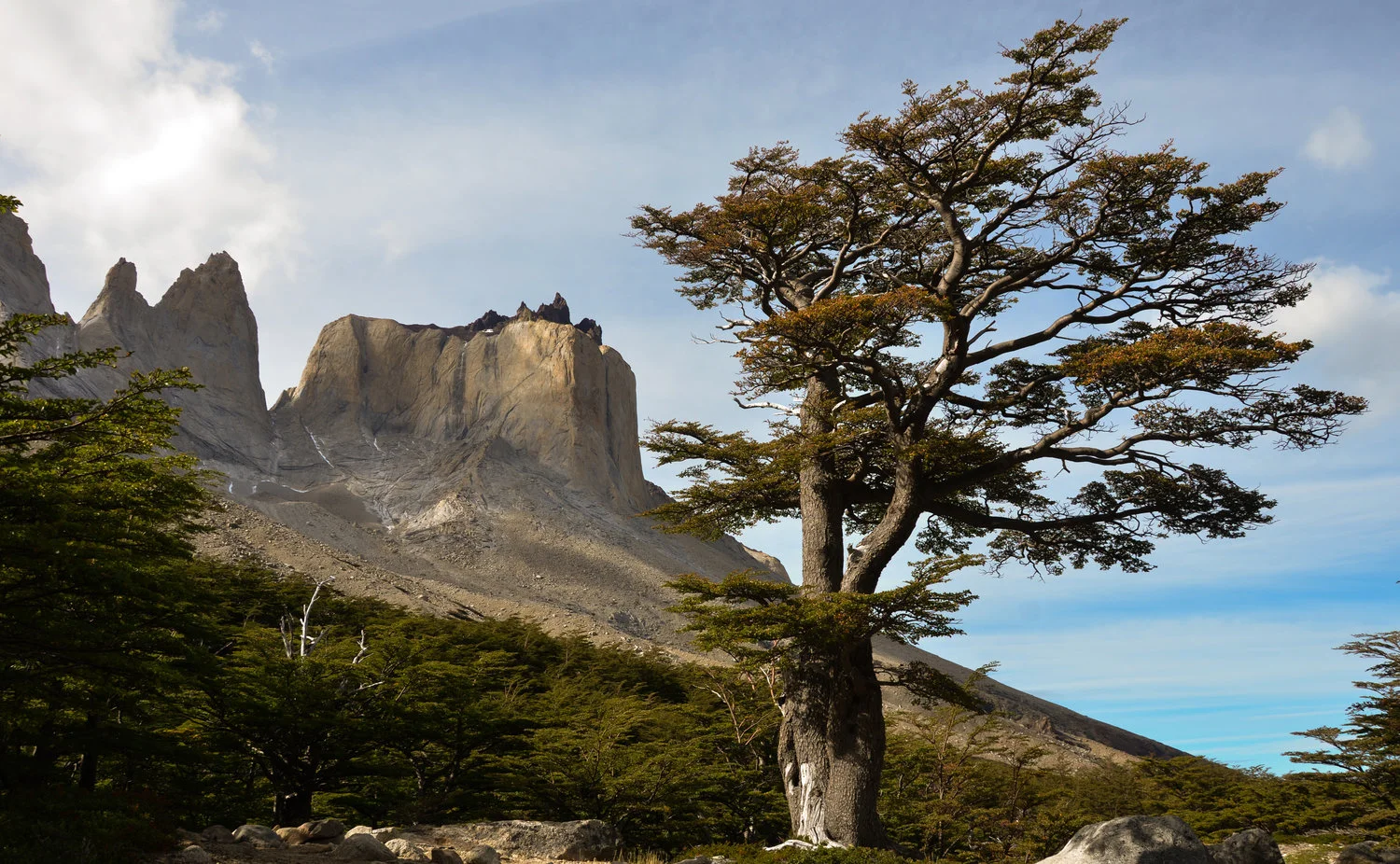 Las Torres del Paine Chile