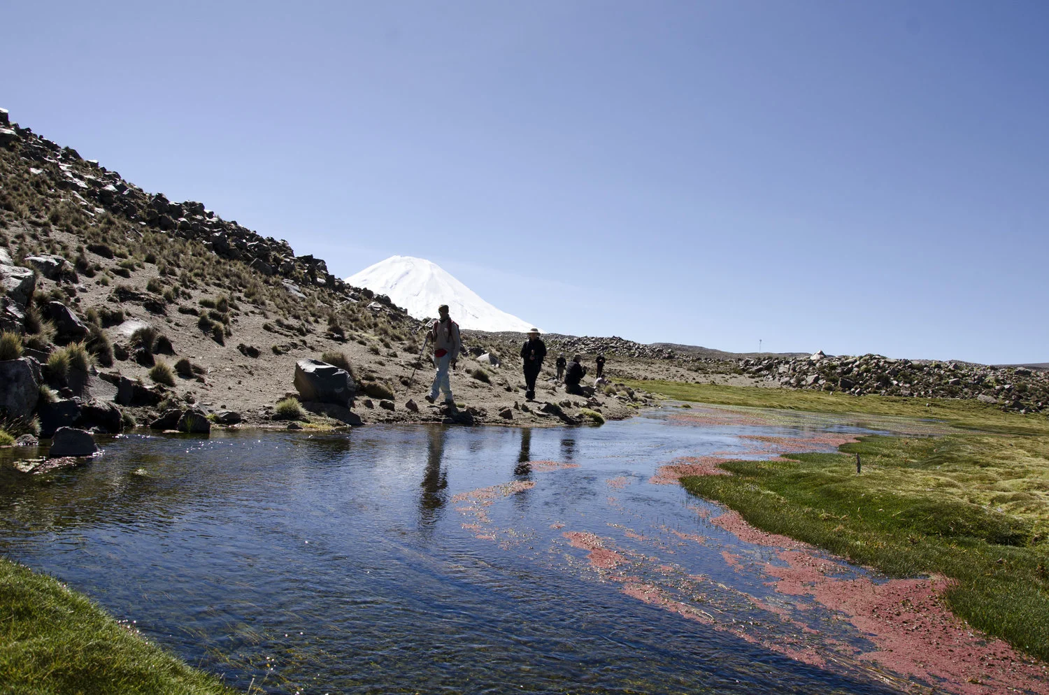 Volcan Parinacota, Altiplano Chile