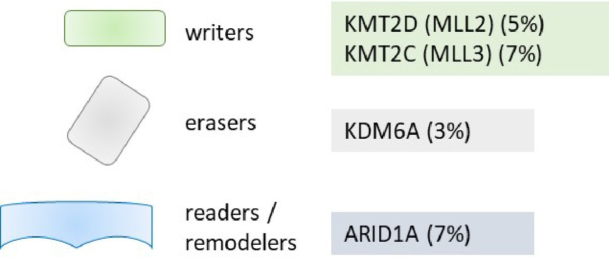mutated modifiers.jpg