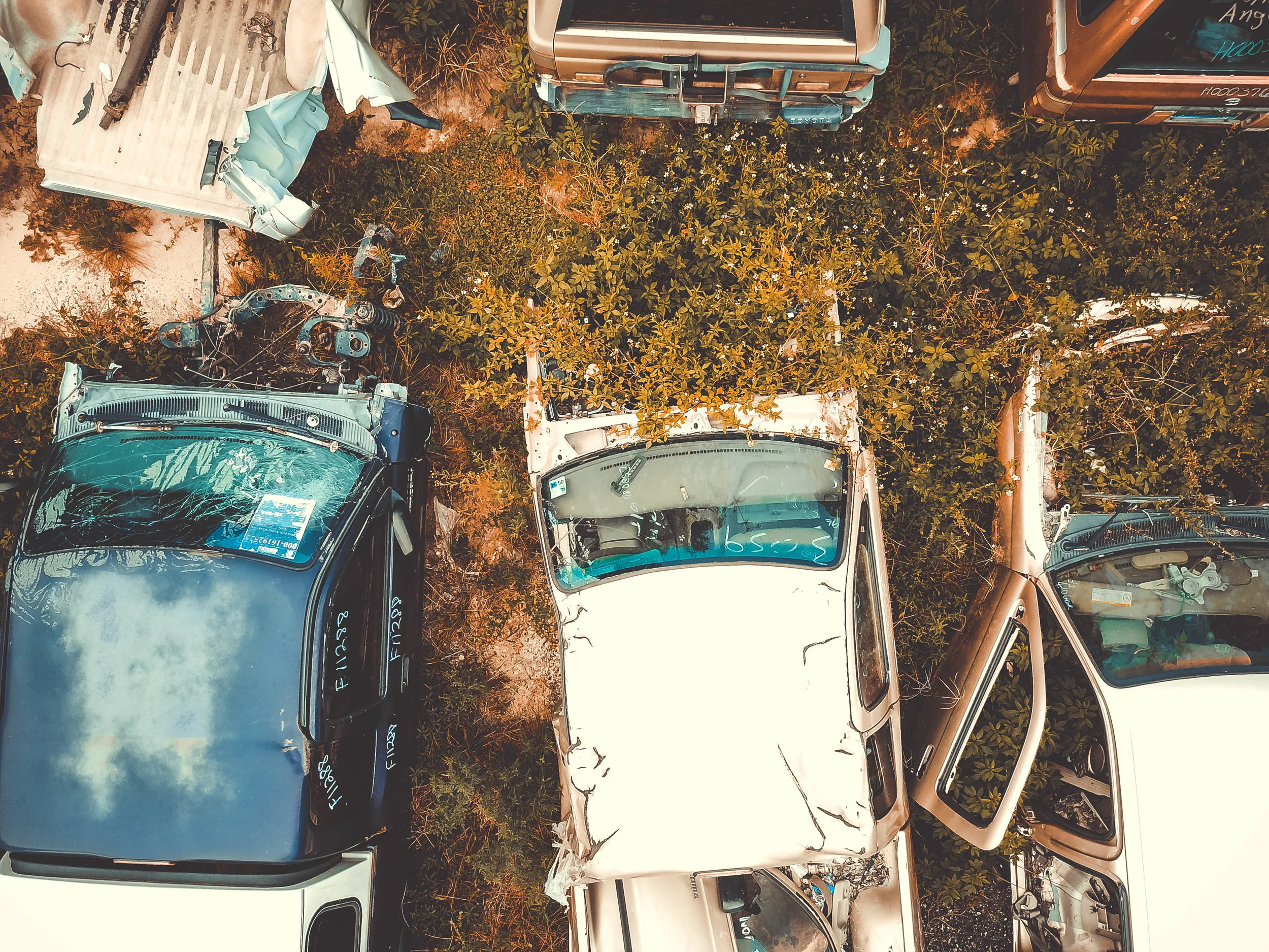 ANGELO'S JUNKYARD, PENSACOLA, FL