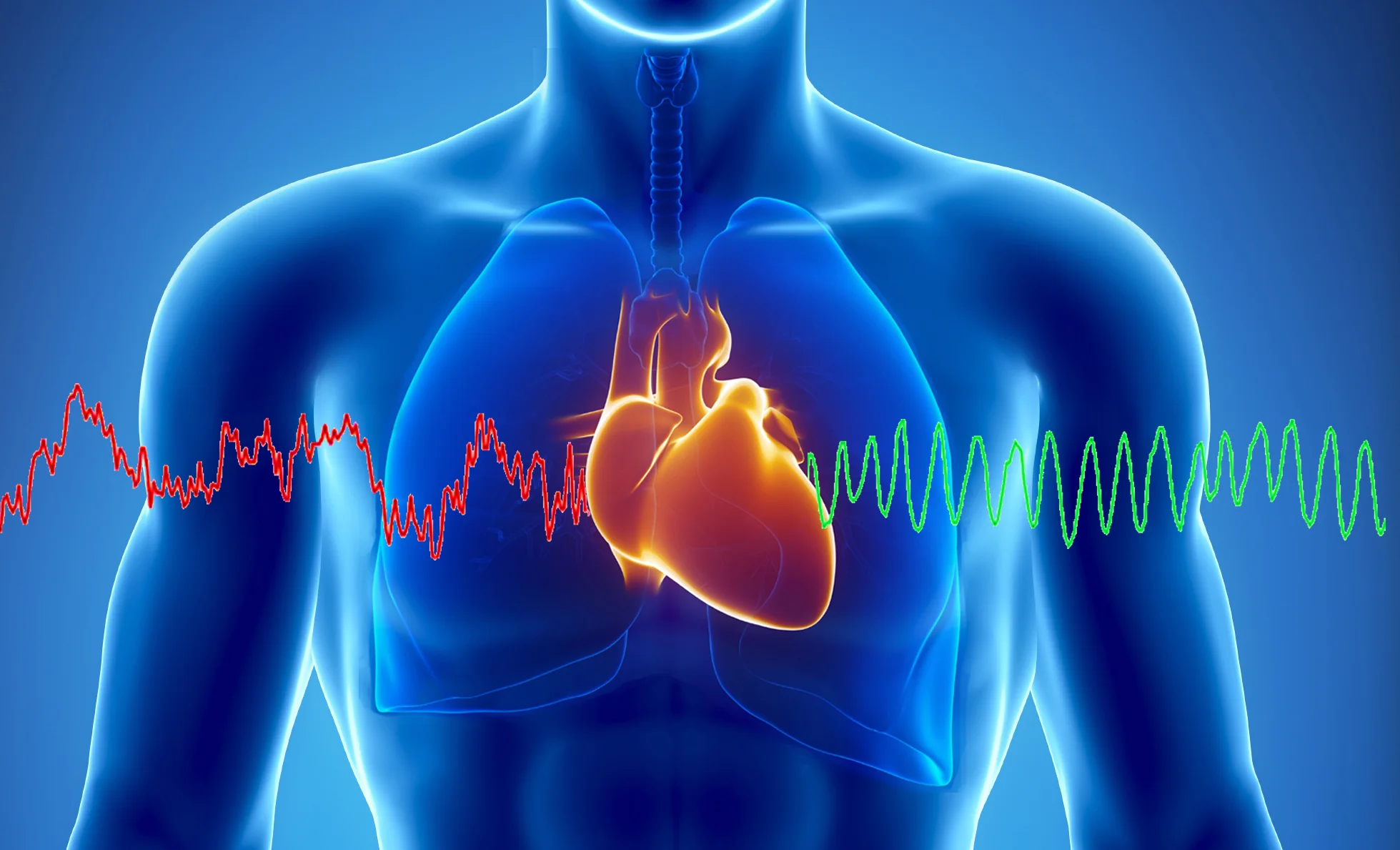 Feeling gratitude you can change your HRV to a Coherence reading and a HEALTHY LIFE-STYLE.