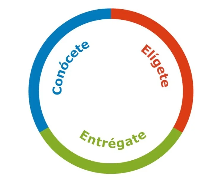 Las emociones agresivas 