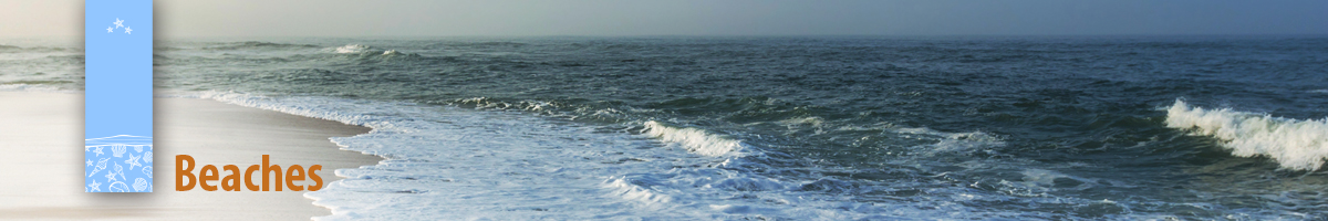 Beaches