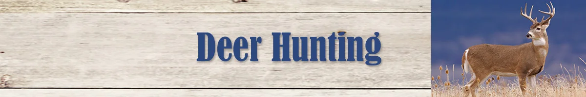 Deer Hunting