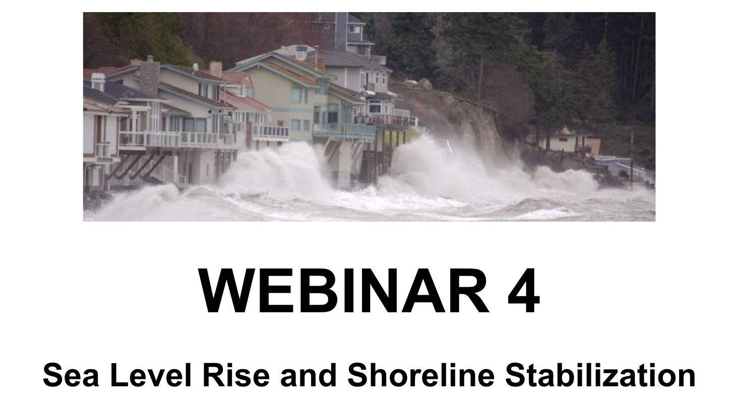 Title slide webinar 4