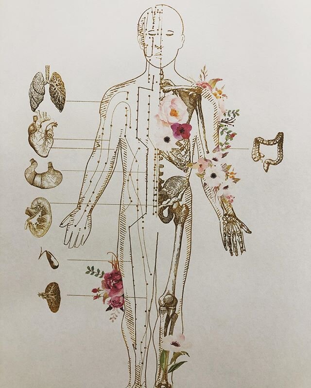 New artwork for the clinic from Etsy.com/shop/enorasis. Looking at some interesting ideas and excited to share them with you! #artwork #newclinic #ideas #pretty #acupuncture