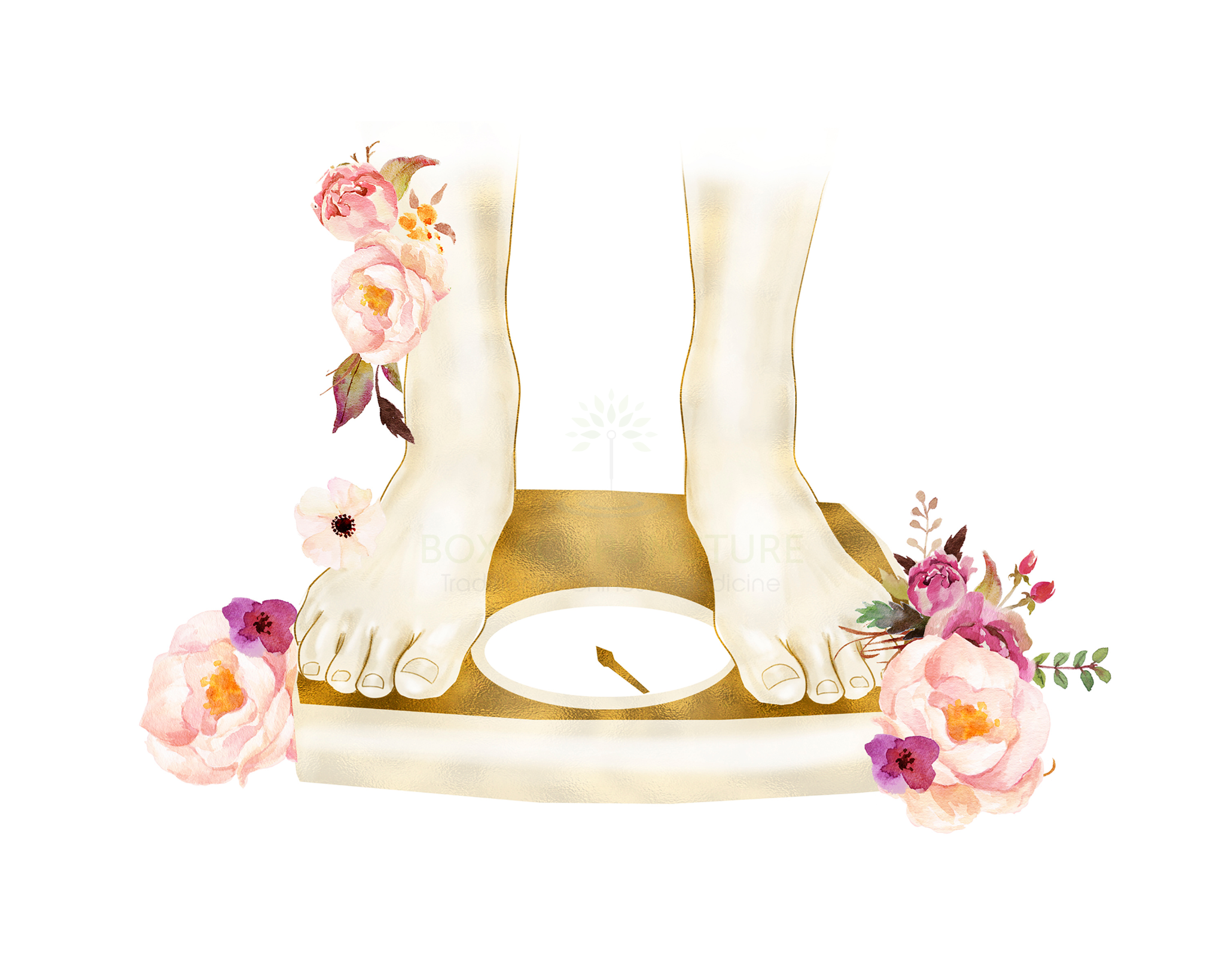 Box Acupuncture Traditional Chinese Medicine
