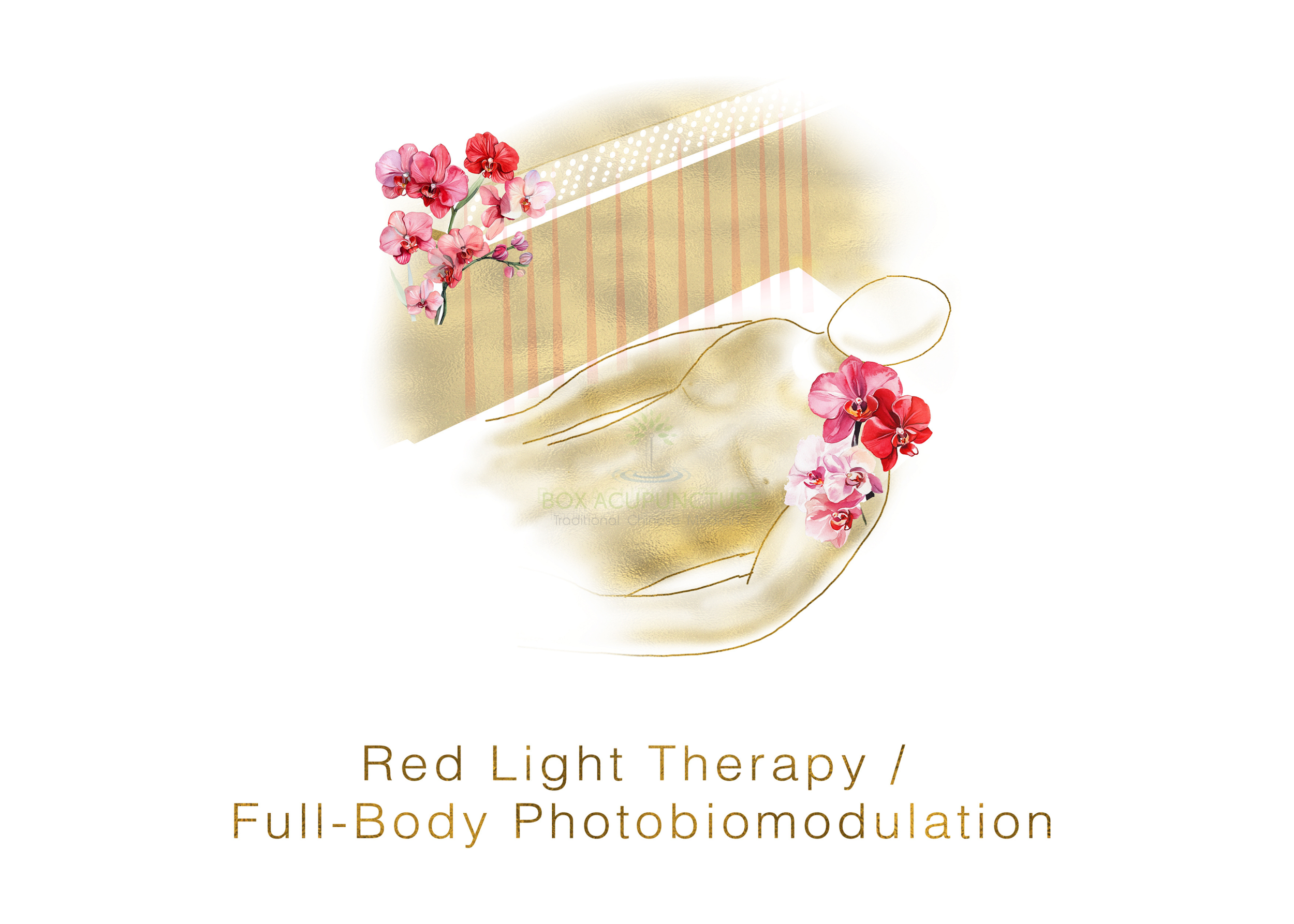Box Acupuncture Traditional Chinese Medicine