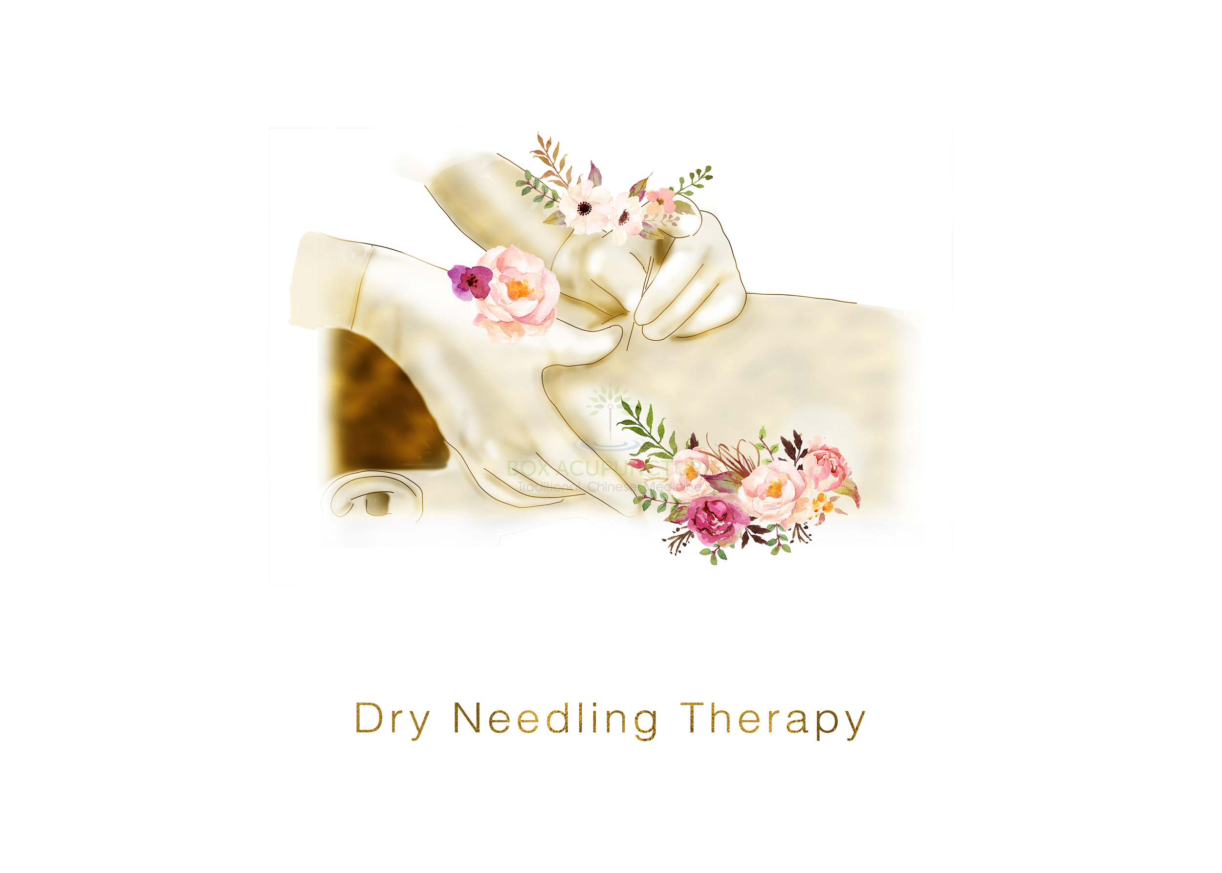 Box Acupuncture Traditional Chinese Medicine
