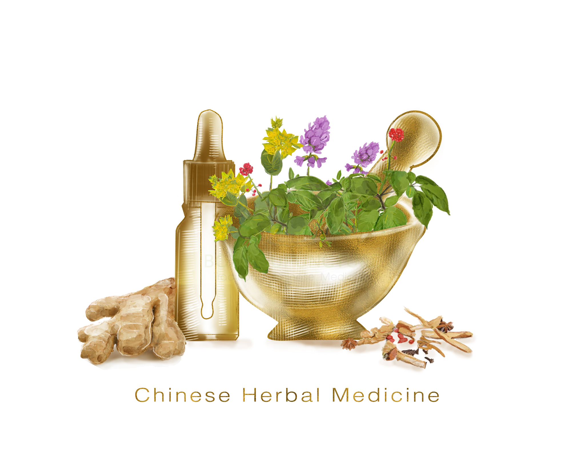 Box Acupuncture Traditional Chinese Medicine