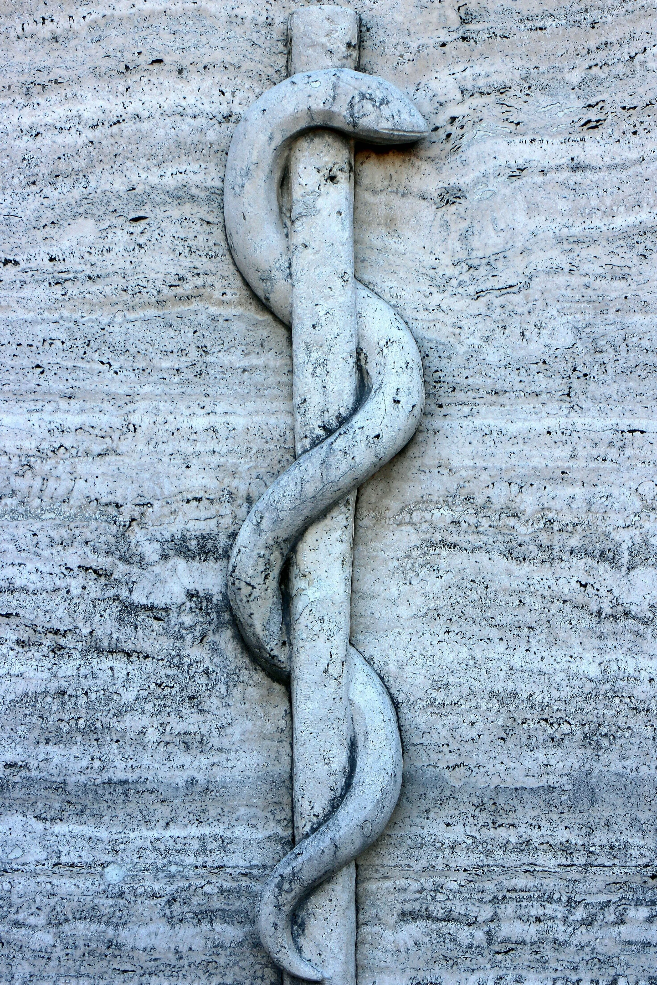 juhi-center-reptile-sculpture-art.jpg