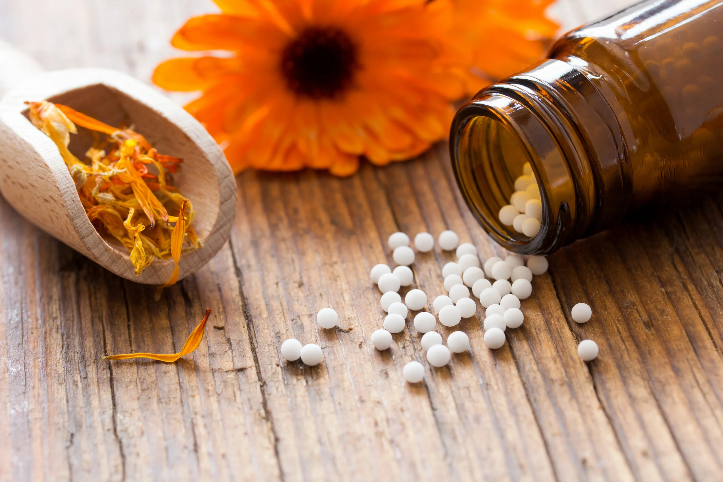 juhi-homeopathy.jpg