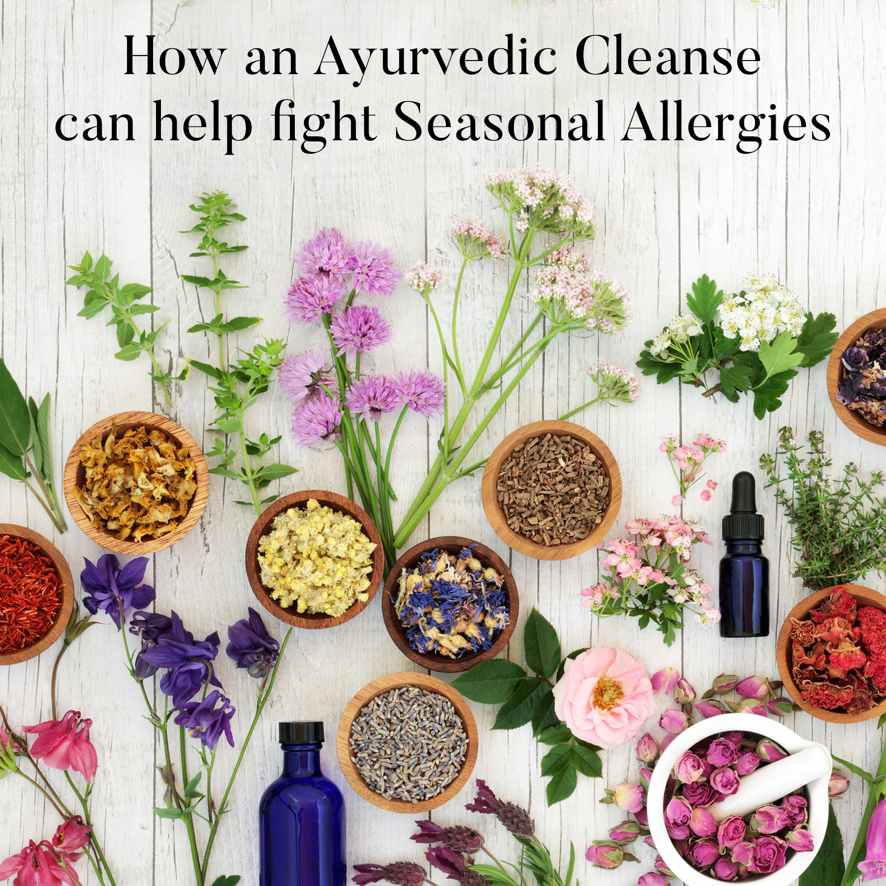 How an Ayurvedic Cleanse can help fight Seasonal Allergies