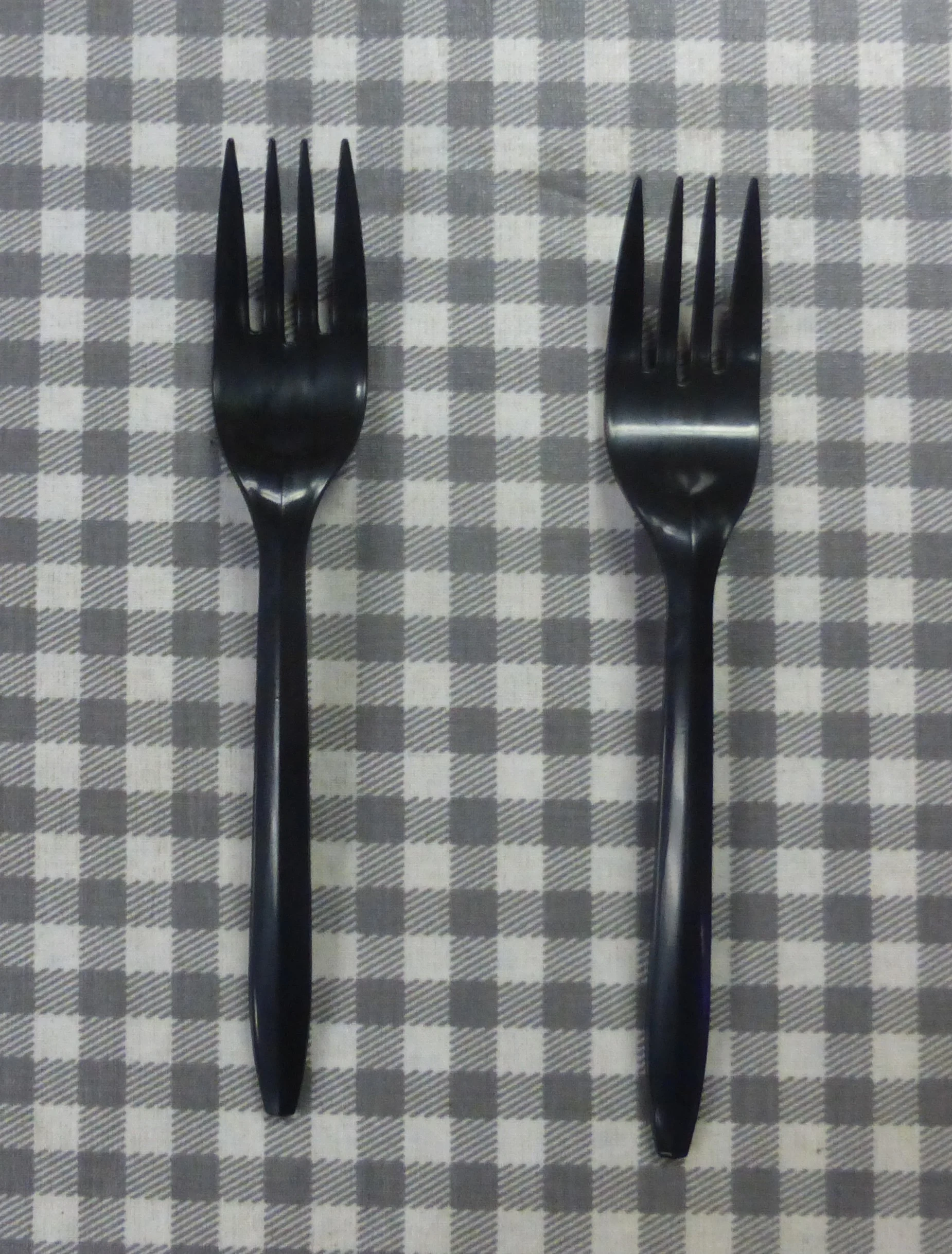 P1050596_1.jpg