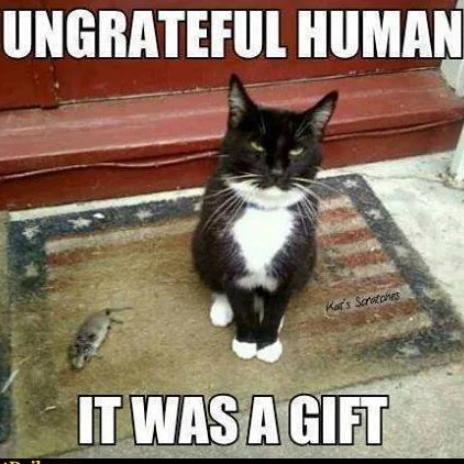 Things May Be a Little...Off