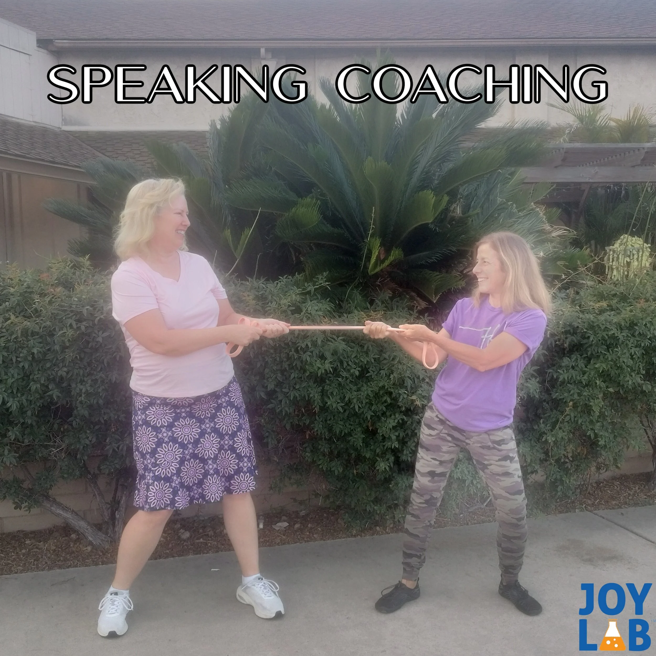 speaker coaching SQUARE.jpg