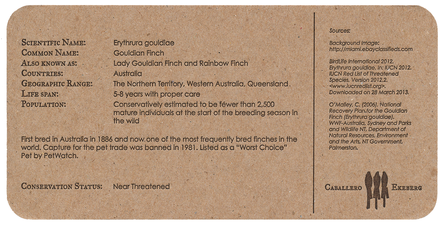 4back_QLD.png