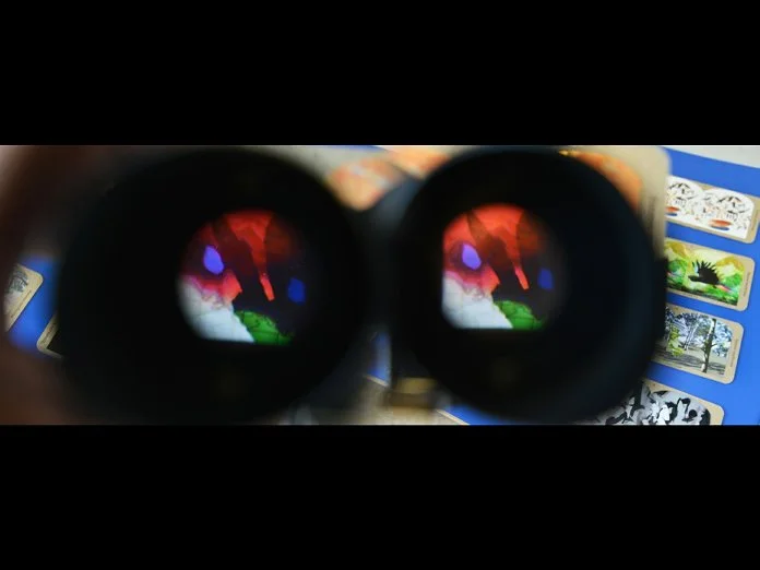BtF_QLD-stereoscope02.jpg