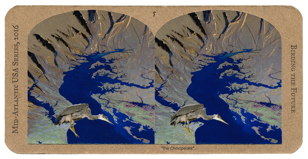 5_MidAtlantic_front.png