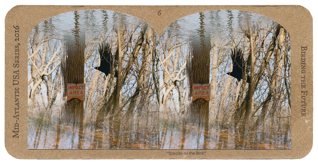 6_MidAtlantic_front.png