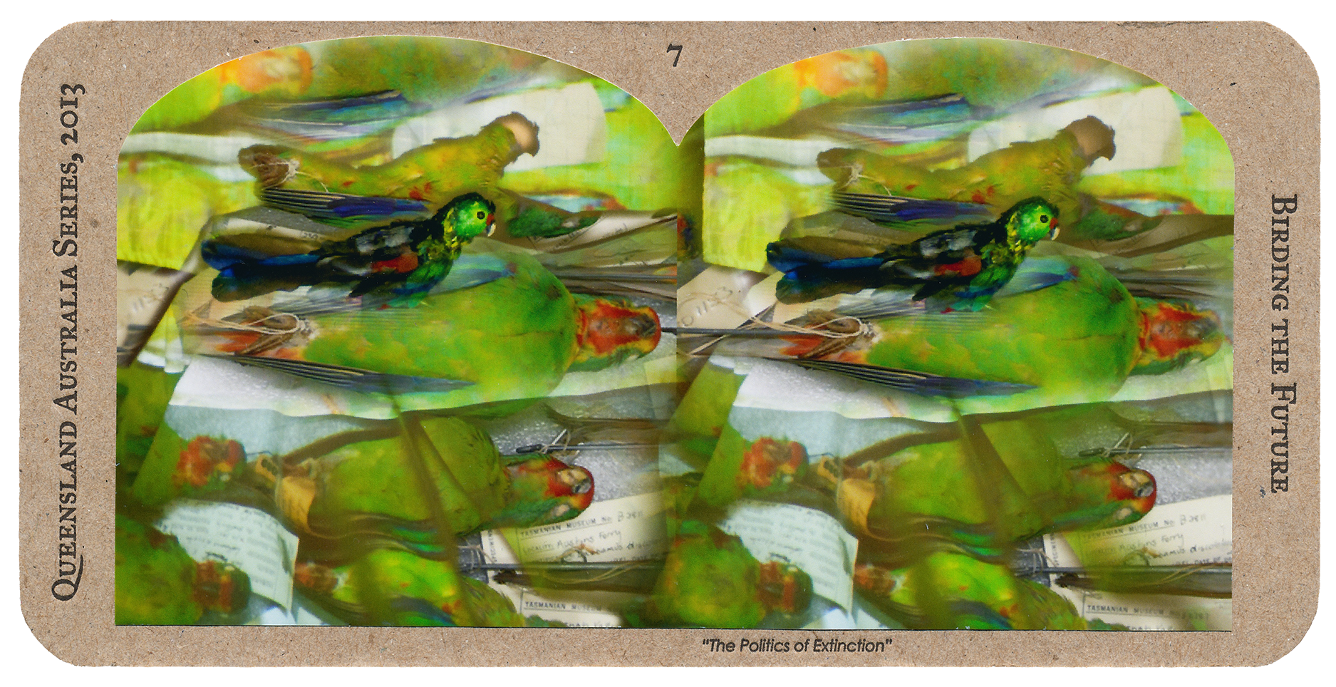 7_Birding-the-Future_blackfront.png