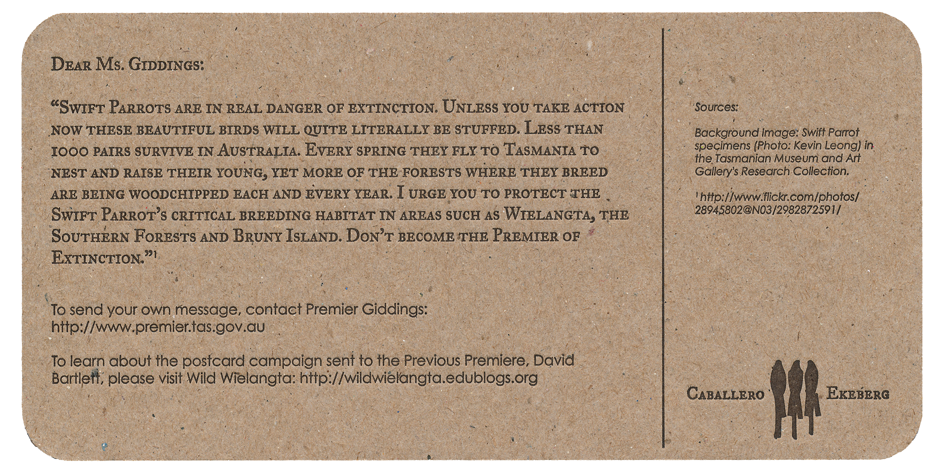 7_Birding-the-Future_blackback.png