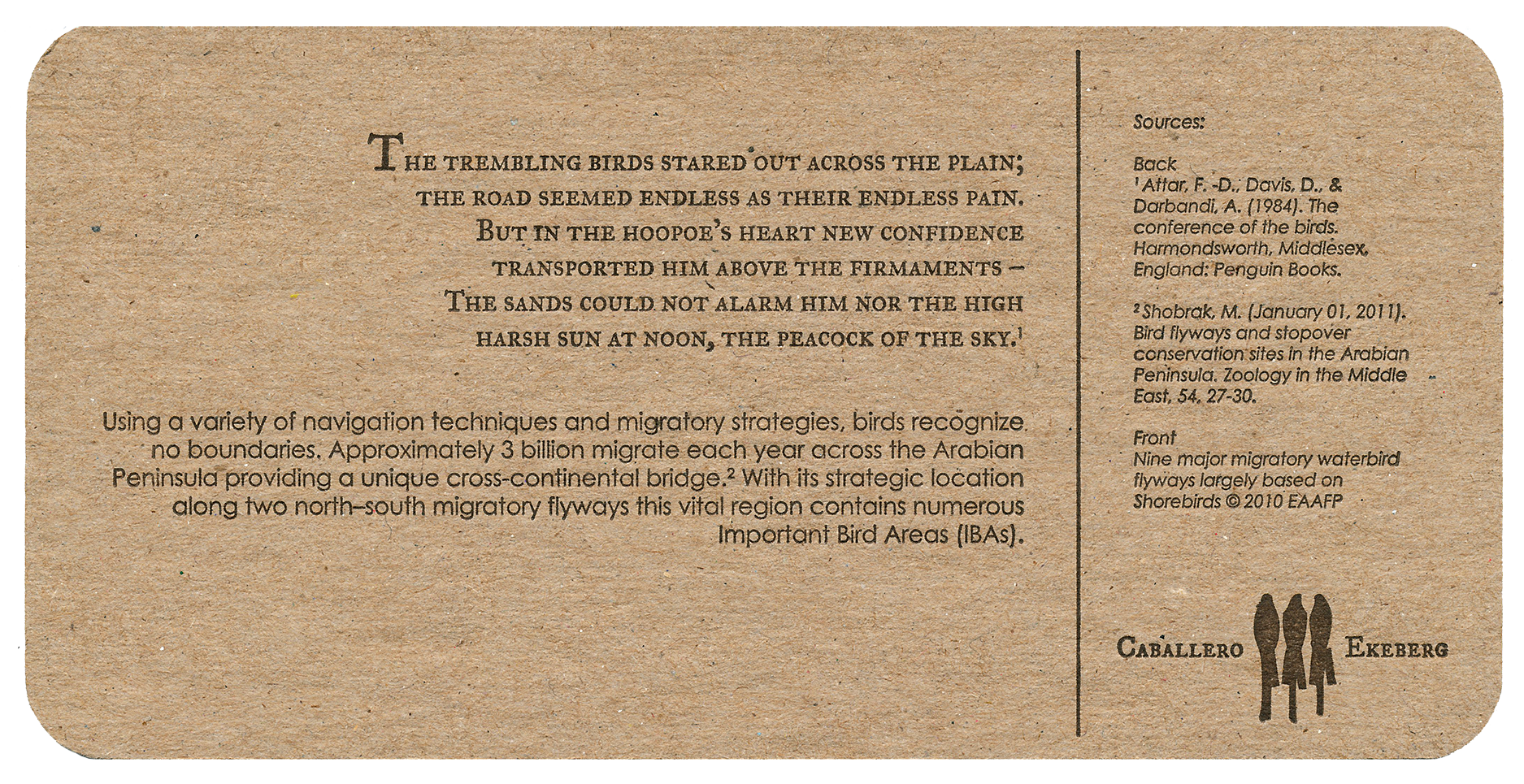1_flywayback_web.png