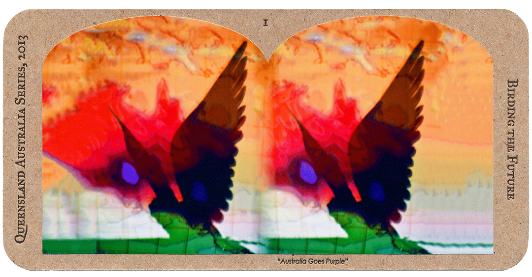 1_Birding-the-Future_front_web.png
