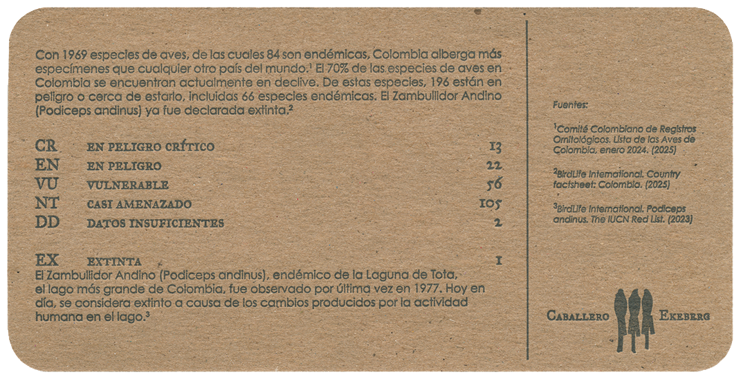 BtFColombia1_backspanish.png