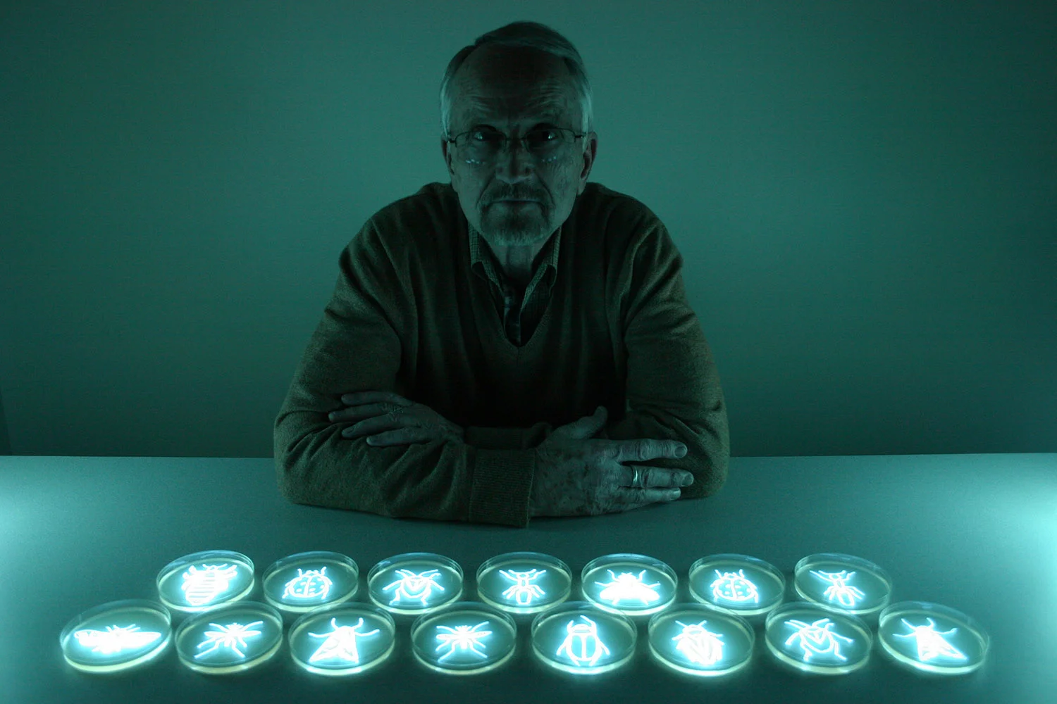 The Entomologist I: Portrait of Bob Hamilton