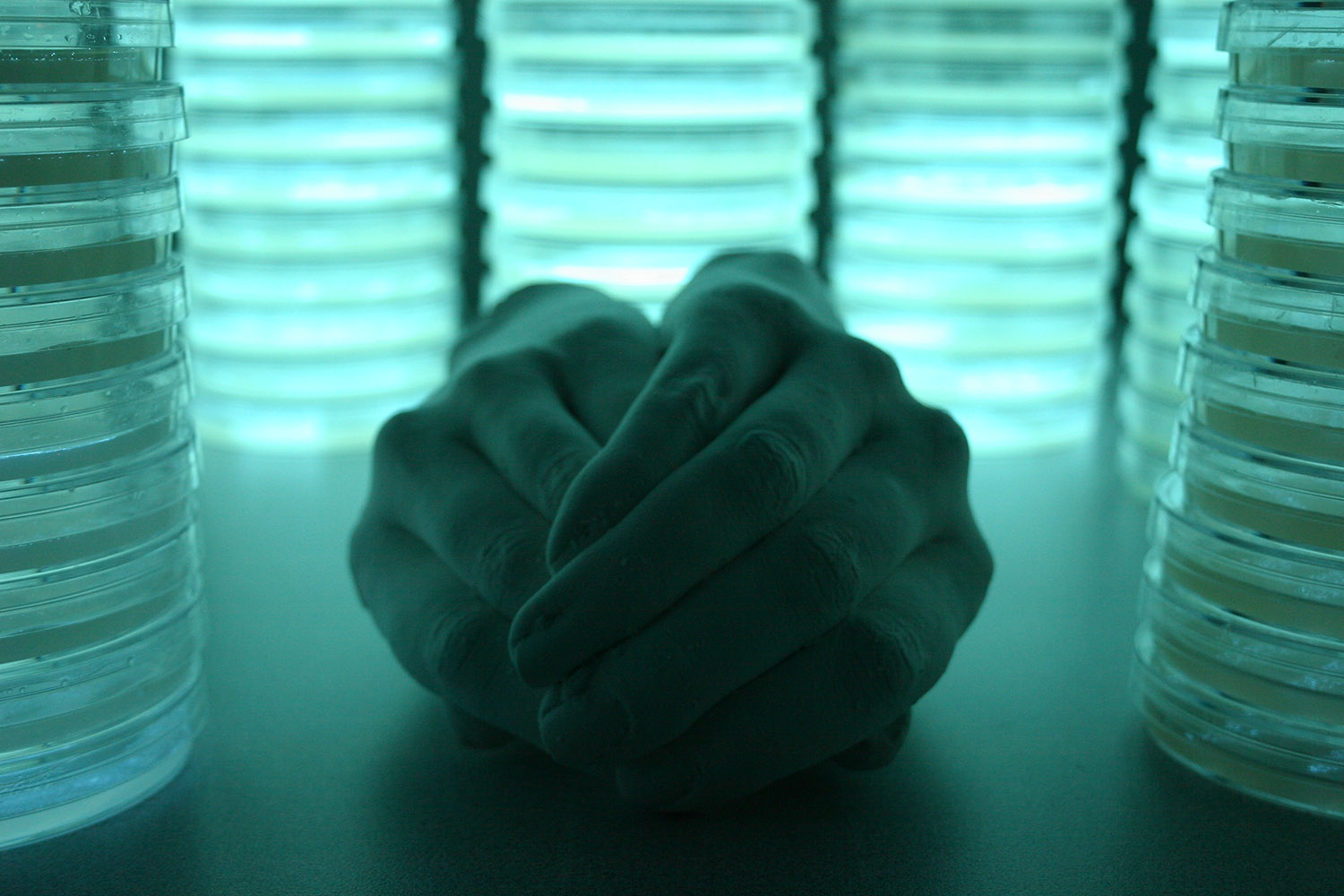 Hands