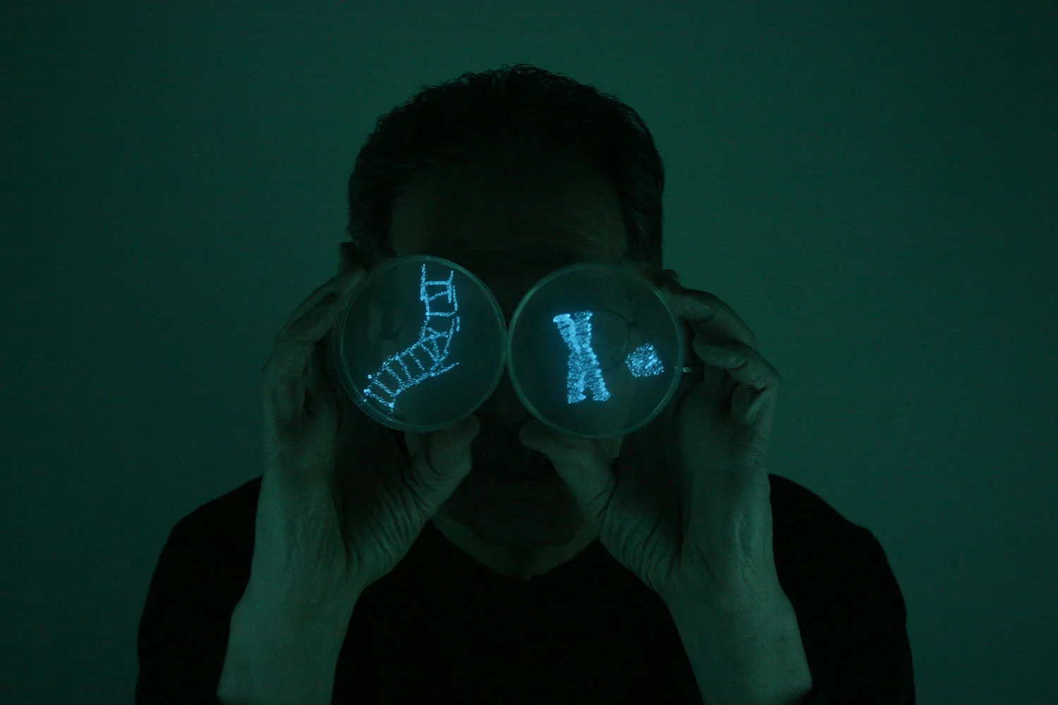 Looking through DNA: Portrait of Peter N. Gray