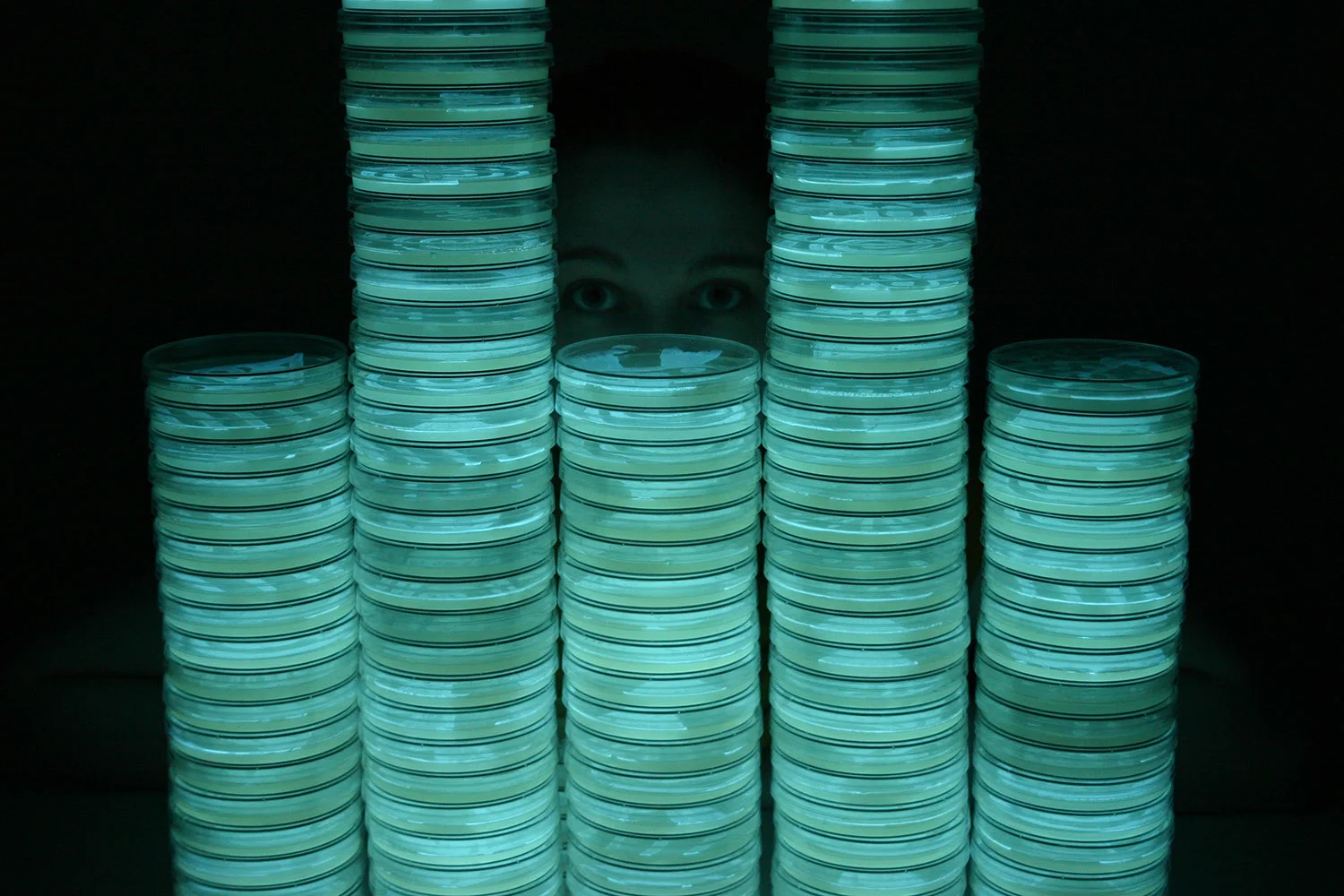 Veil of Light: Portrait of MK Meador