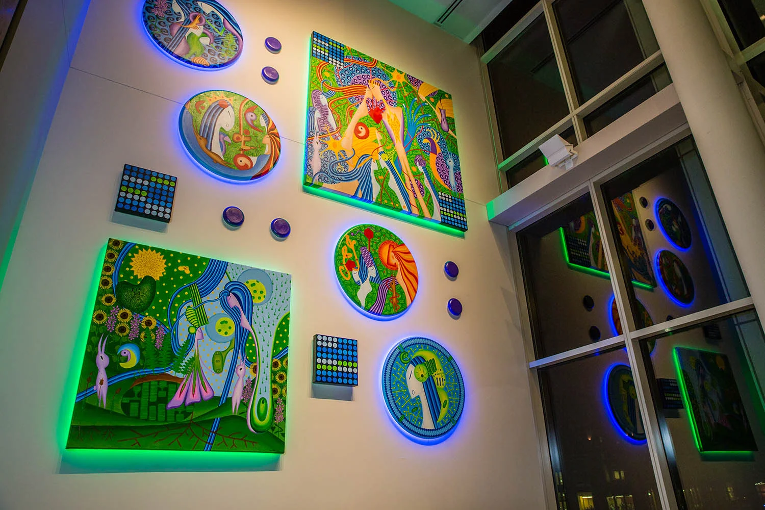 Life Evolves: Installation at Night 2
