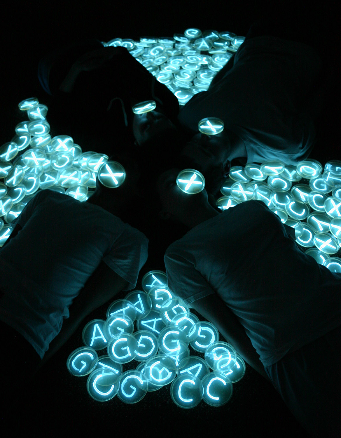 "X Chromosome," photograph by the light of bioluminescent bacteria