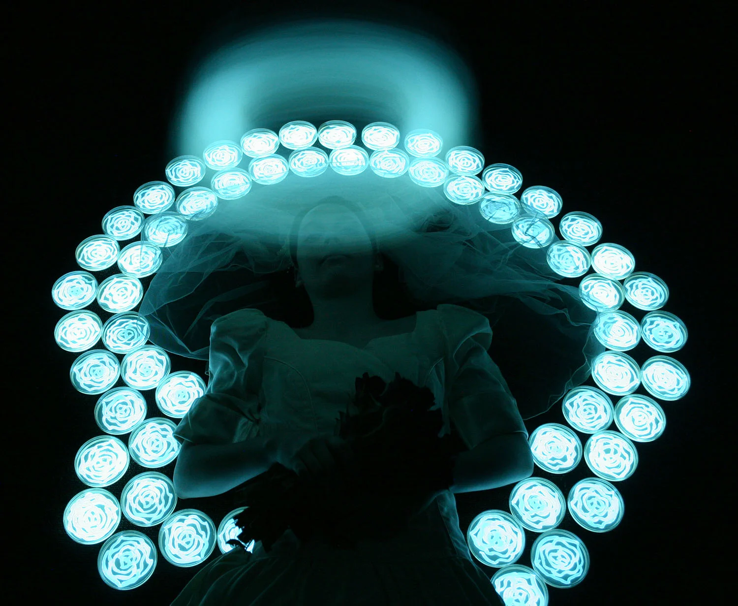 "Angel Bride," photograph by the light of bioluminescent bacteria