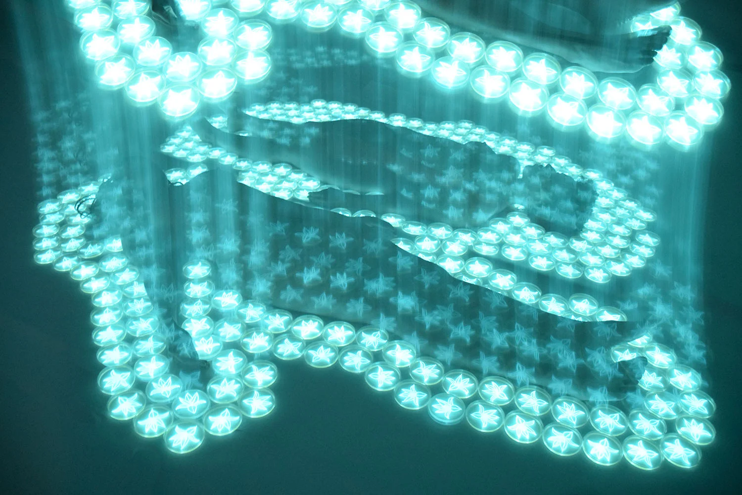 "Ascension of the Souls," photograph by the light of bioluminescent bacteria