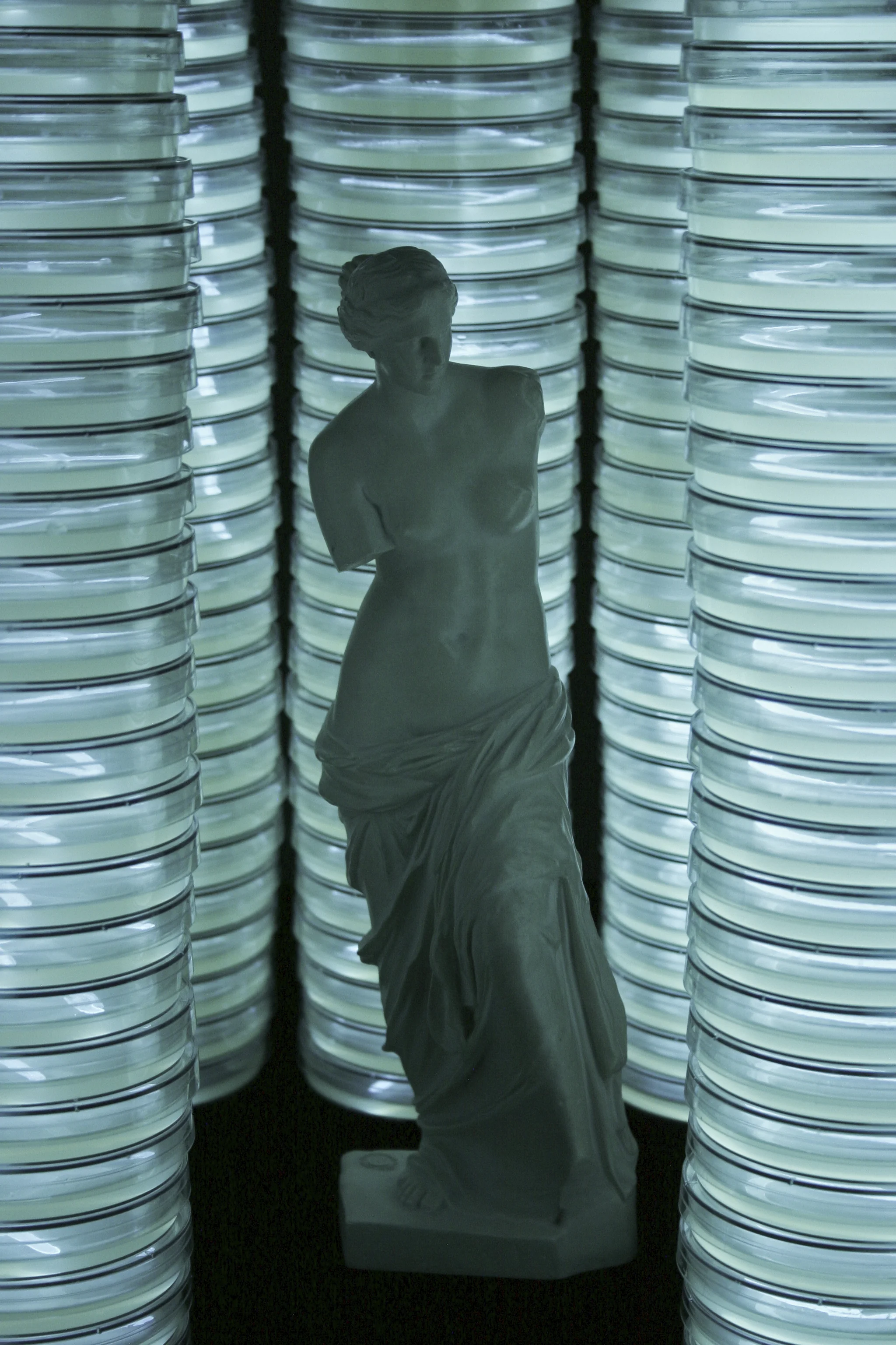 venusdemilo_hunter_cole.jpg