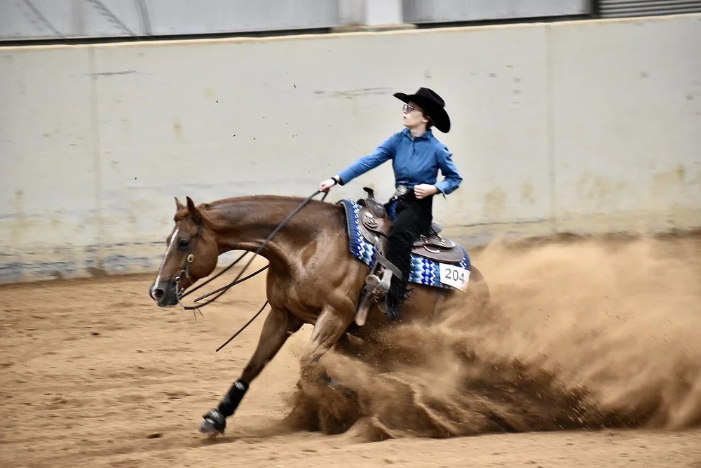NRHA Reining Slide