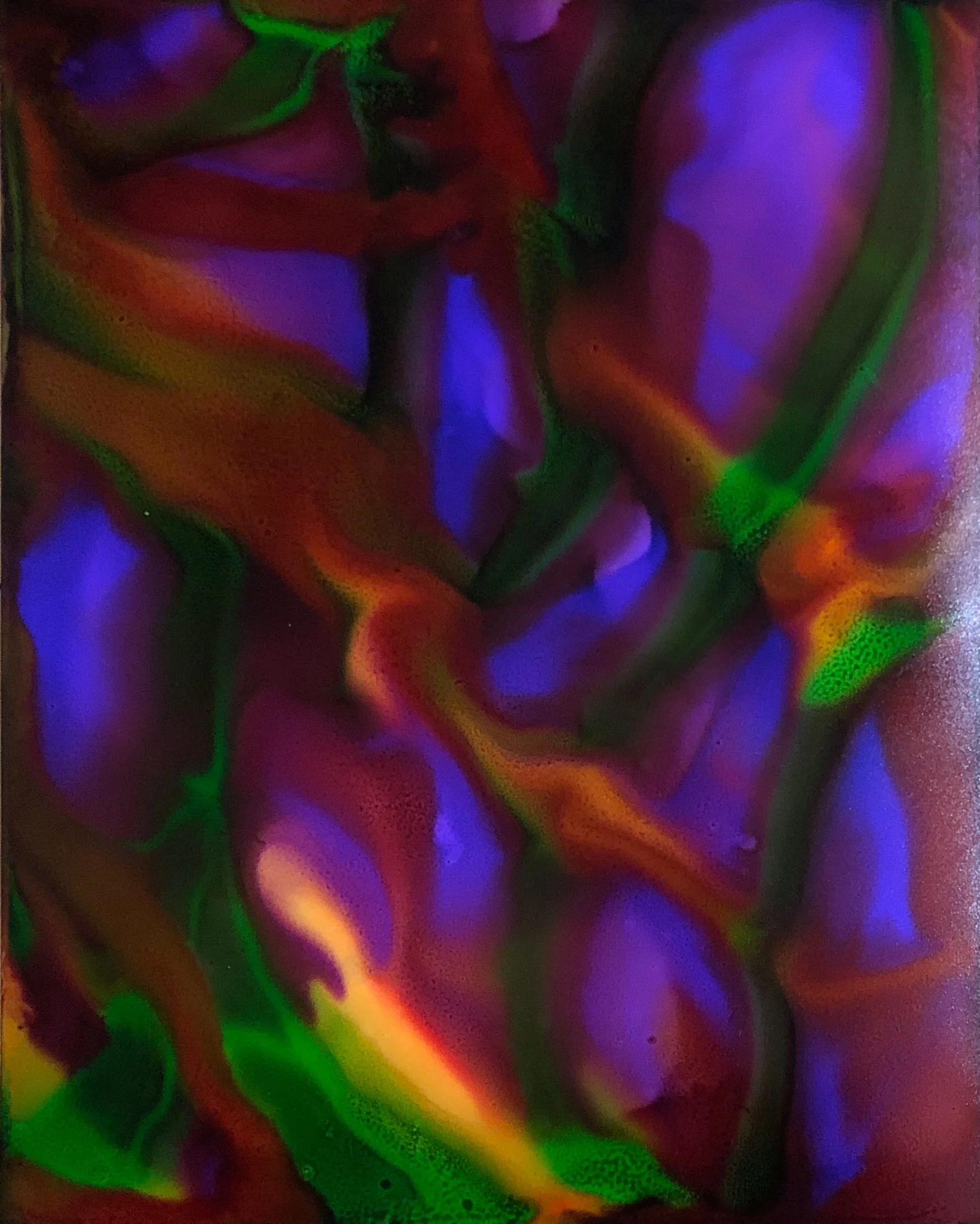 "Birds of Paradise"