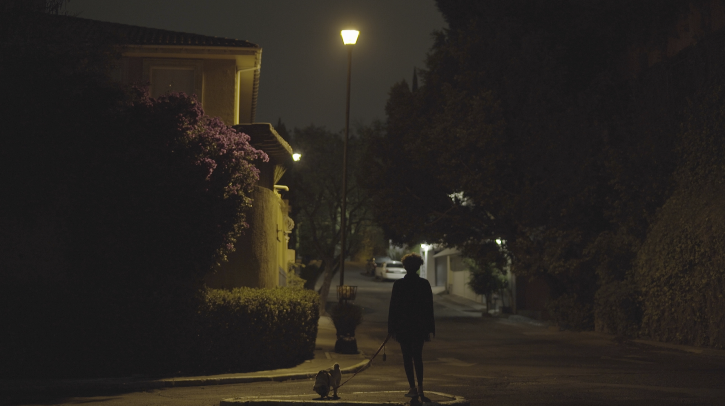 Screen Shot 2020-04-03 at 11.15.41 PM.PNG