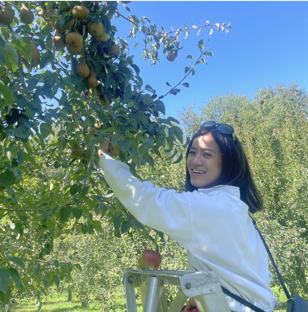 Yan Lab fall apple picking