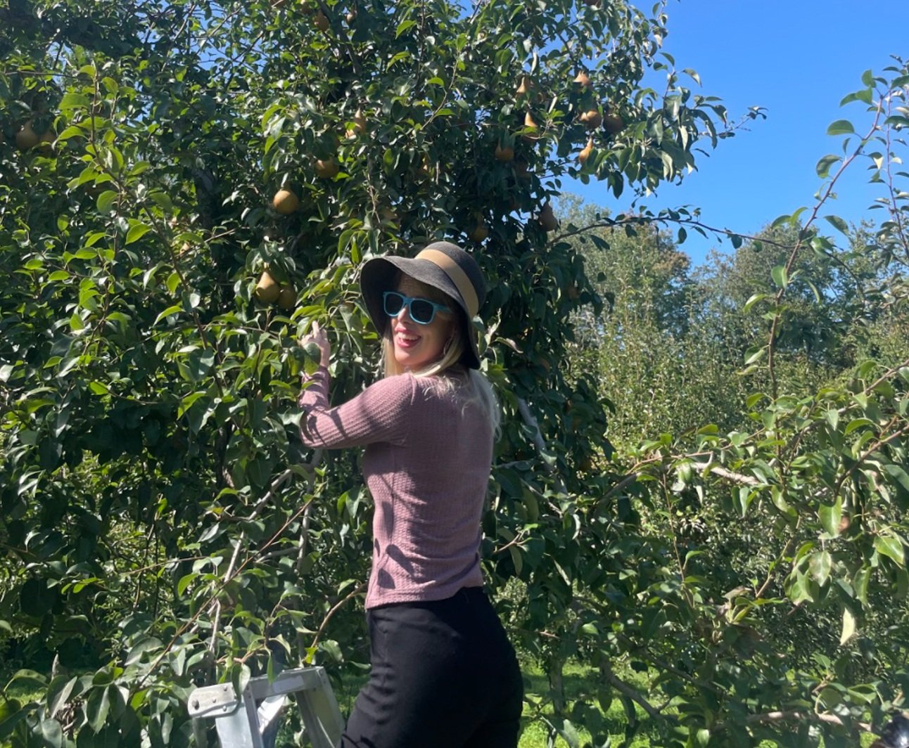 Yan Lab fall apple picking