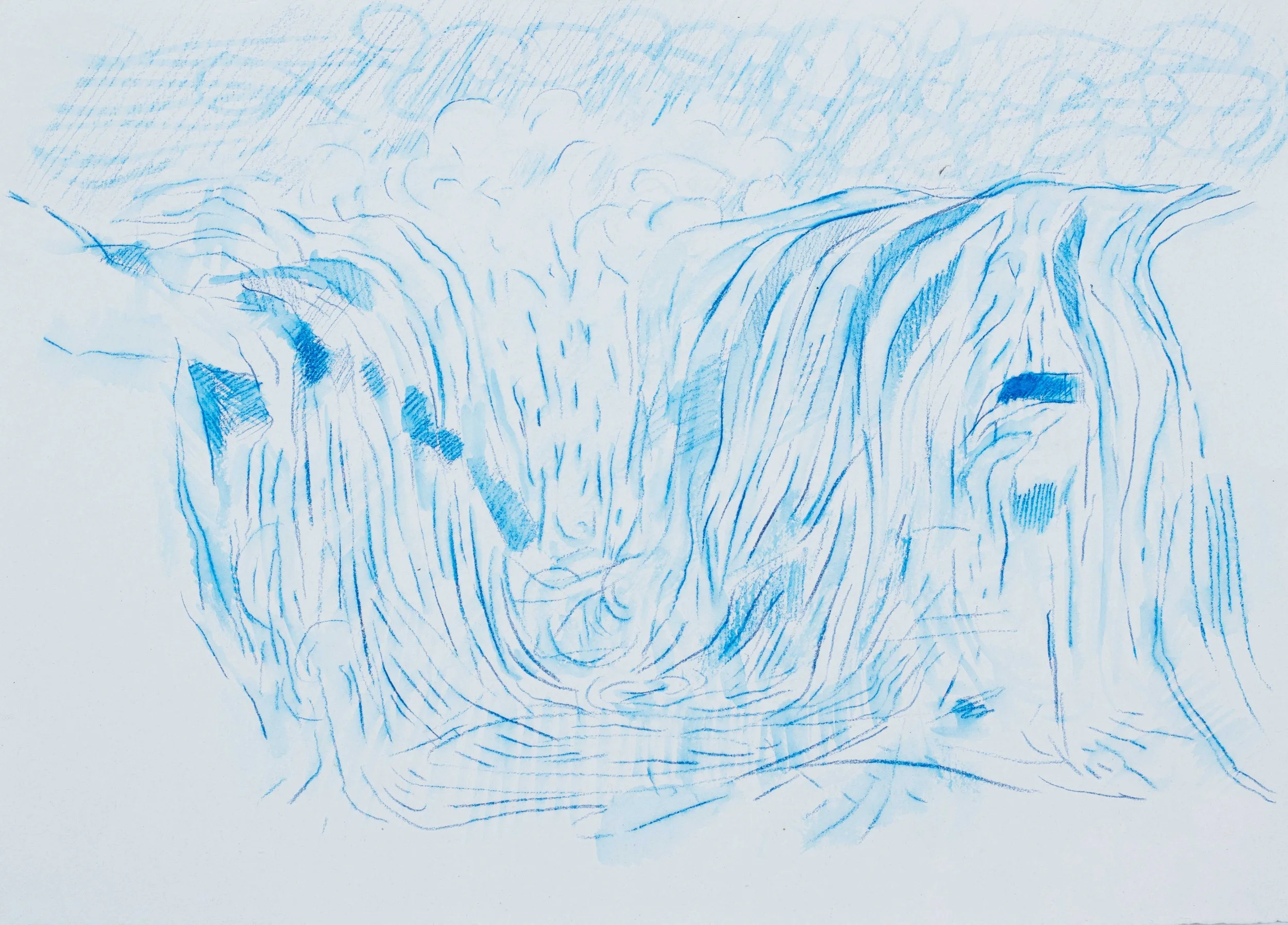 Blue Waterfall Study