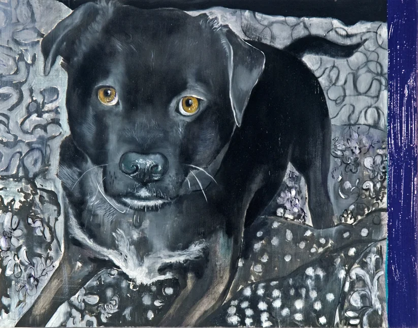 Bo