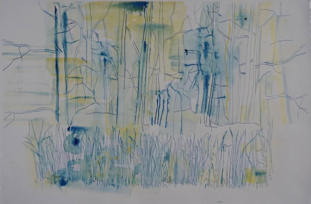 Edge of Forest